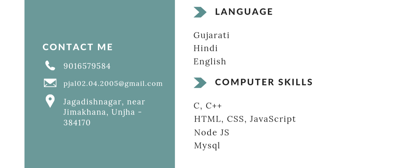 CV Jal Patel - Software Developer